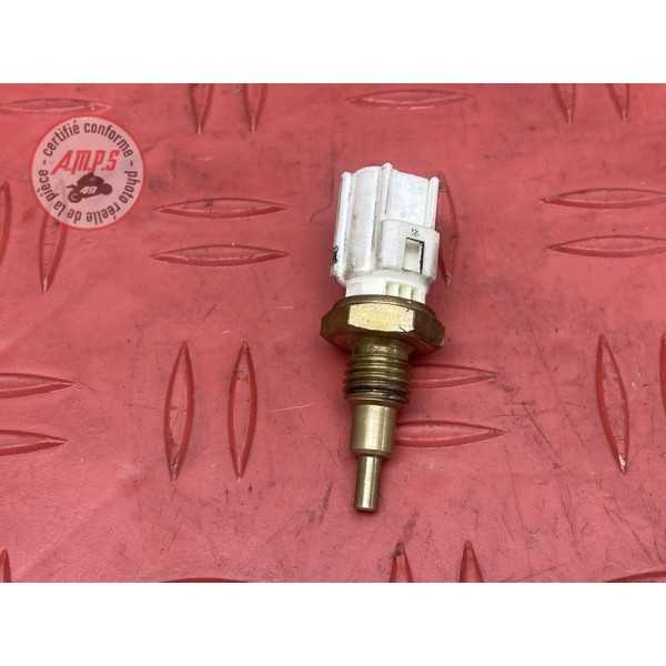 Sonde Temperature eau 