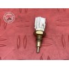Sonde Temperature eau 