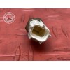 Sonde Temperature eau 