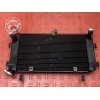 Radiateur d'eau Suzuki GSX-S 750 2017 à 2021 