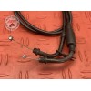 Cable d'accélérateur Suzuki GSX-S 750 2017 à 2021 