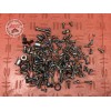 Kit de vis de carrosserie 