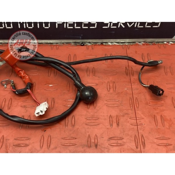 Cable de batterie 