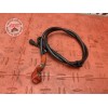 Cable de batterie 