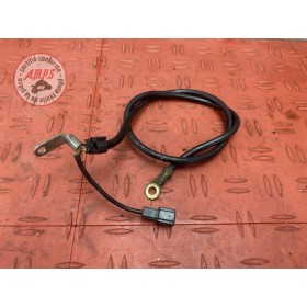 Cable de masse 