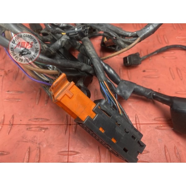 Faisceau électrique principale 