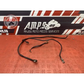 Cable de batterie 