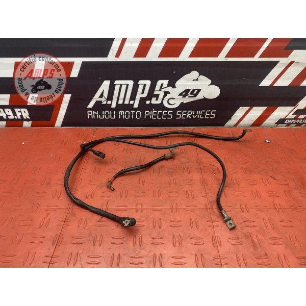 Cable de batterie 