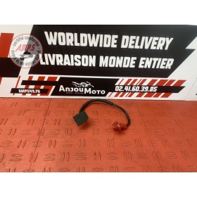 Cable de batterie 