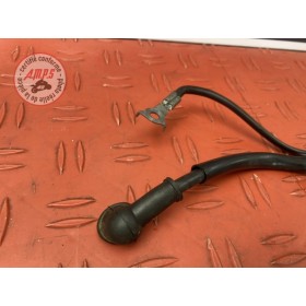 Cable de masse 