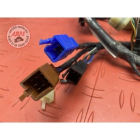 Faisceau électrique principale 