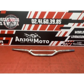 Guidon 