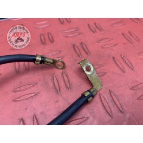Cable de masse 