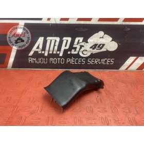 Ram air gauche 