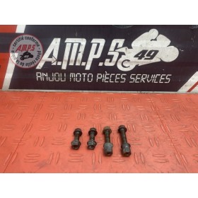 Vis de boucle arriere Honda CBR 1100 XX Super Blackbird 1997 à 1998 