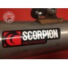 Silencieux ScorpionCBR100009ER-515-QNB9-A01057019used