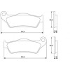 PLAQUETTES DE FREIN ACCOSSATO OFF ROAD 