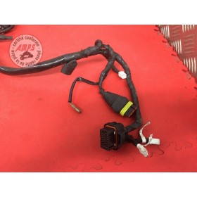 Faisceau électrique principale Ducati 1199 Panigale S 2012 à 2015