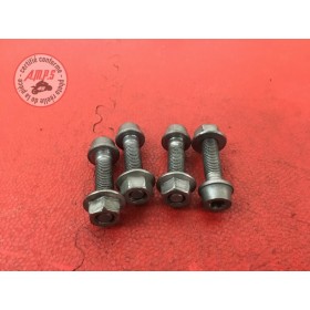 Vis de boucle arriere Bmw S1000RR 2009 à 2014