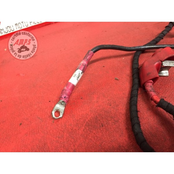 Cable de batterieTUONOV411BP-822-PGH4-B21133621used