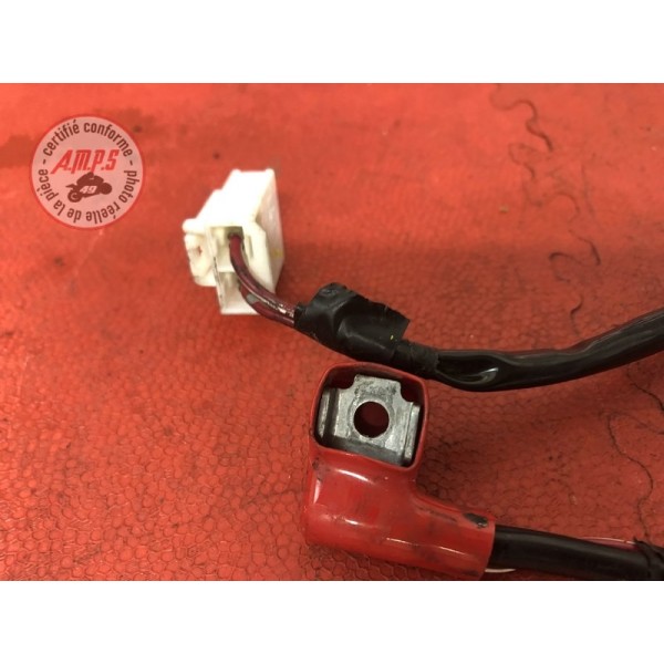Cable de batterieER6F12CE-924-LSB7-A31135849used