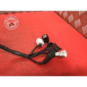 Faisceau électrique principale Ducati 1199 Panigale 2012 à 2015