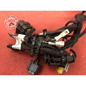 Faisceau électrique principale Ducati Panigale V4 2018 2019