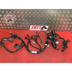 Faisceau électrique principaleZ80013CV-642-NJB3-B51143061used