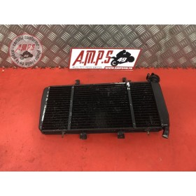 Radiateur d'eauSPRINT105006EU-55-JP2-A01145071used