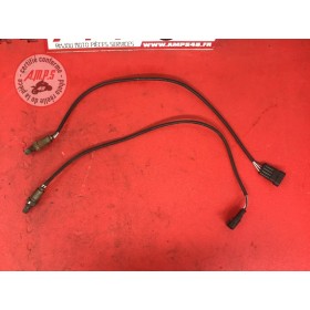 Sonde lambda Ducati 1200 Multistrada S 2010 à 2012 Tarif Unitaire