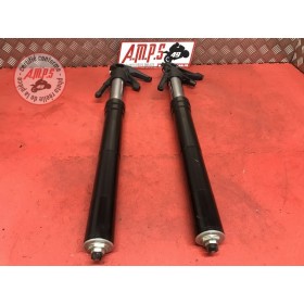 Paire de tube de fourcheDIAVEL11BT-640-RPH3-G21153435used