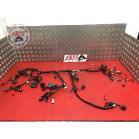 Faisceau électrique principale129917EK-563-FHH4-A51154825used