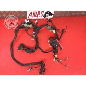 Faisceau électrique principaleFZ109ED-246-ZHB8-Z51156870used