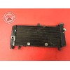 Radiateur d'eauHOR60006AX-161-SYH8-A01160733used