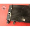 Radiateur d'eauHOR60006AX-161-SYH8-A01160733used