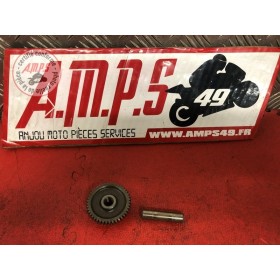 Pignion 1R699AK-623-RWB8-B31161021used