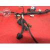 Faisceau électrique principaleFZS100002CK-834-DSH6-D11194819used