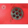 Pignion moteur