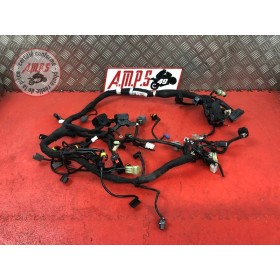 Faisceau électrique principaleDUKE79018EX-643-JCH4-D21198813used