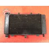 Radiateur d'eauFZ606AY-040-BHH8-A21199567used