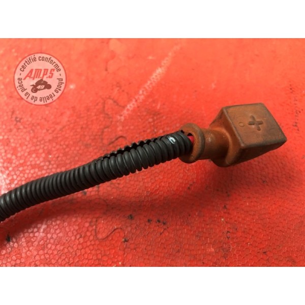 Cable de batterieGSXR1300006FL-420-REH8B01200603used