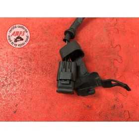 Faisceau diagnostique84810AP-237-PGH7-B31201637used