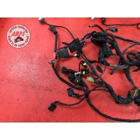 Faisceau électrique principale84810AP-237-PGH7-B31201673used