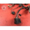 Faisceau électrique principaleVFR80002AH-301-KBH6-D41202409used