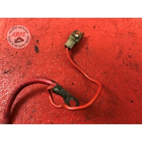 Cable de batterie