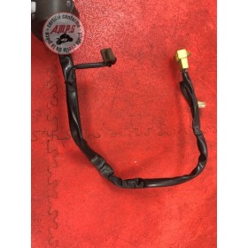 Commodo gaucheDL100006AJ-254-RLH8-A31226847used