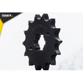 125.FLAT TRACK '18/20 14X61 428H µ