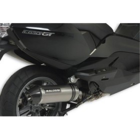 [1] SILENCIEUX homologué MAXI WILD LION pourCOLLECT. D'ORIG. / Malossi 