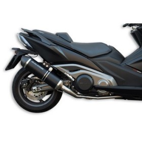 [1] POT D'ECHAPPEMENT MAXI WILD LION Homologué 