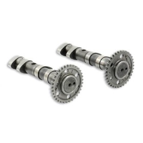 [1] Double POWER CAM arbre a cames 